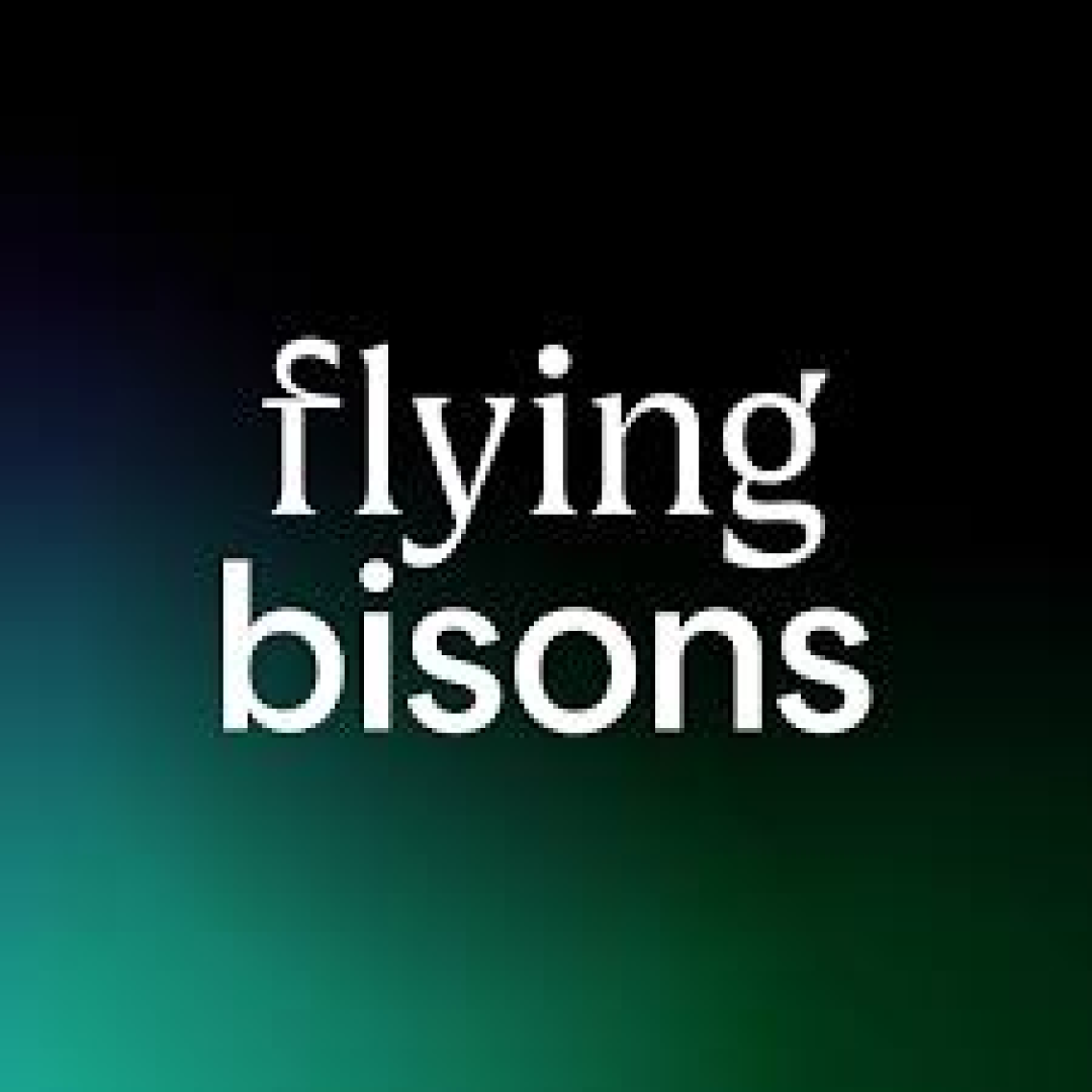 flying bisons